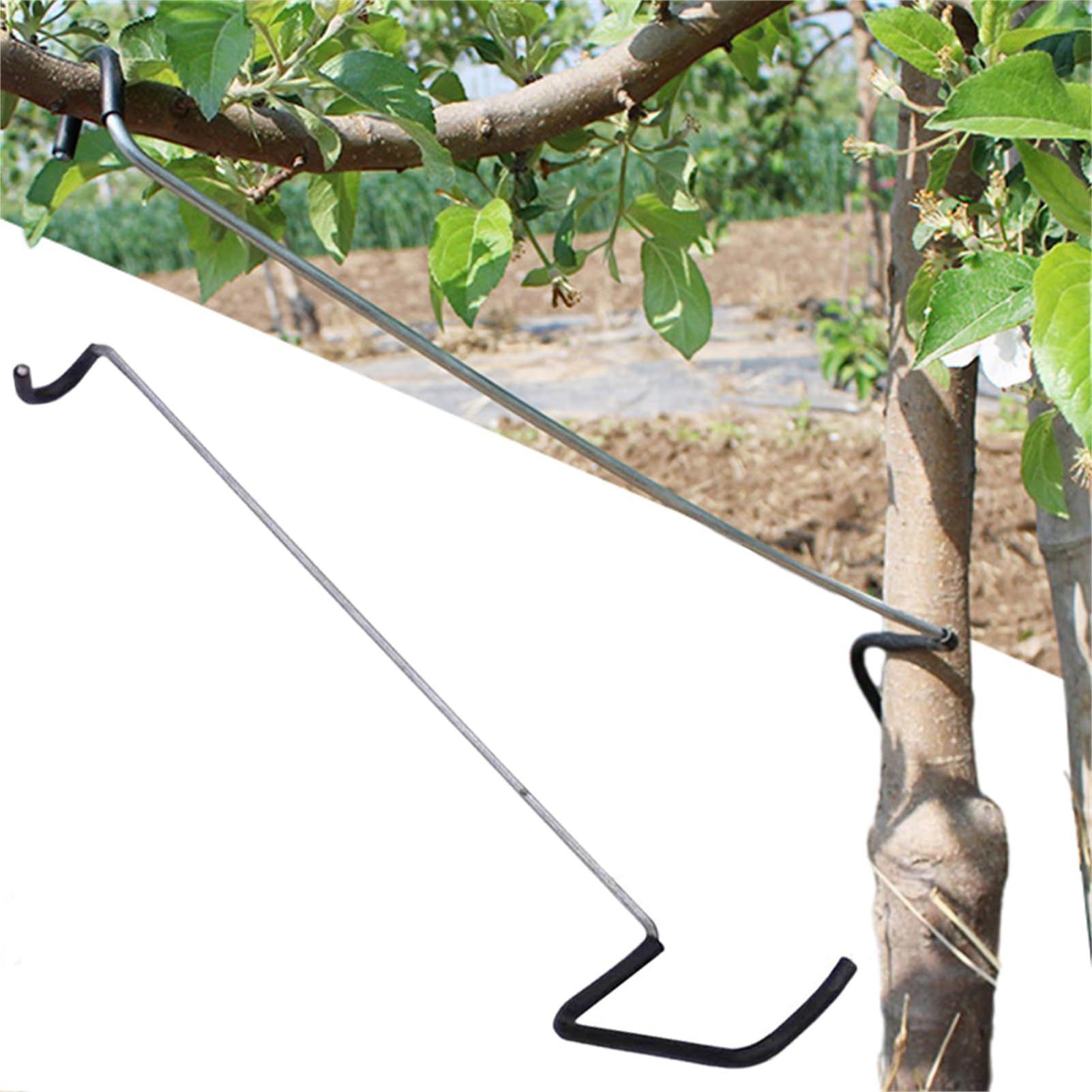 Gardening Tools Gifts - Fruit Tree Branch Spreader 10Pcs/set Garden