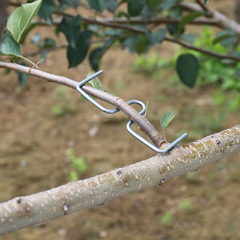 Gardening Tools Gifts - 30pcs/set Fruit Tree Branch Puller Hook