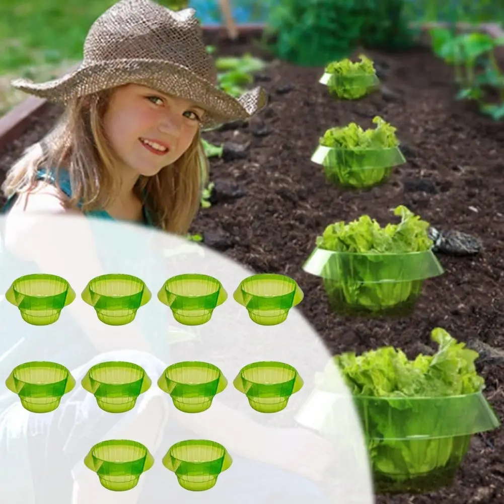 Gardening Tools Green - Plants Snail Protection Rings Vegetable Green