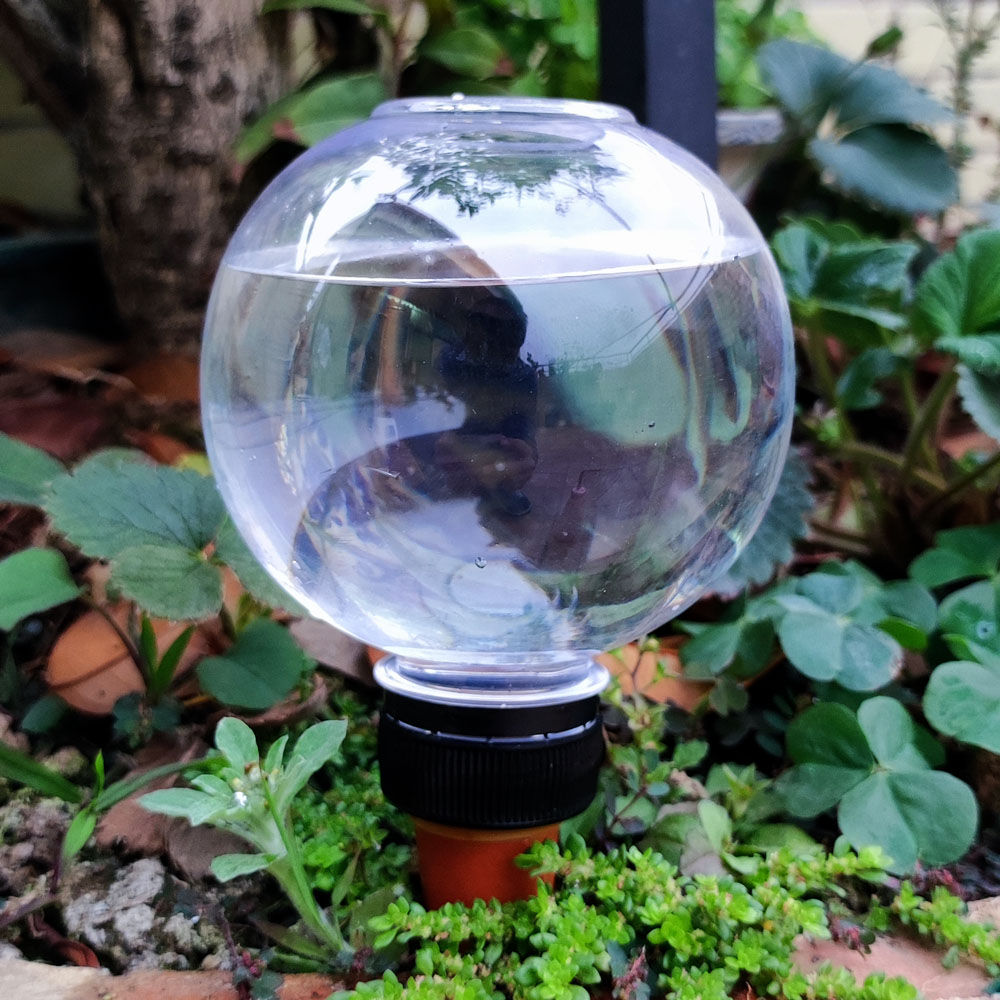 4 Pcs Automatic Watering Plant - огляд і ціна Gardening Tools Green
