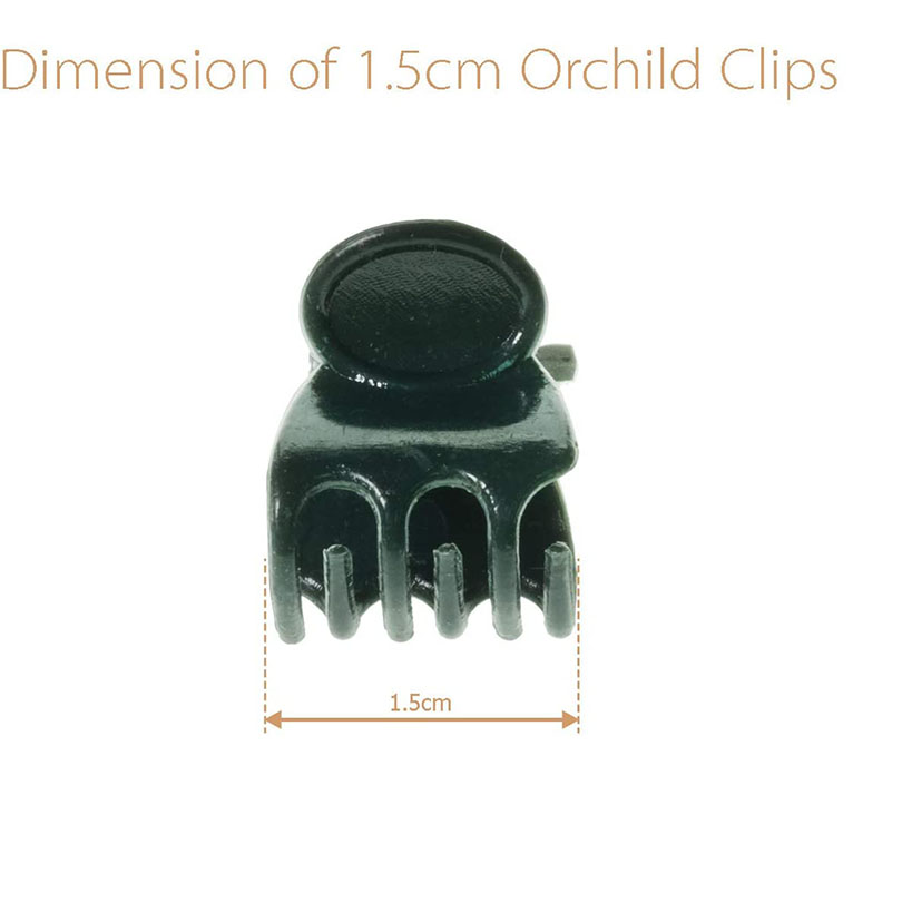 10/50/100PCS 6-Claw Dark Green - огляд і ціна Gardening Tools Green
