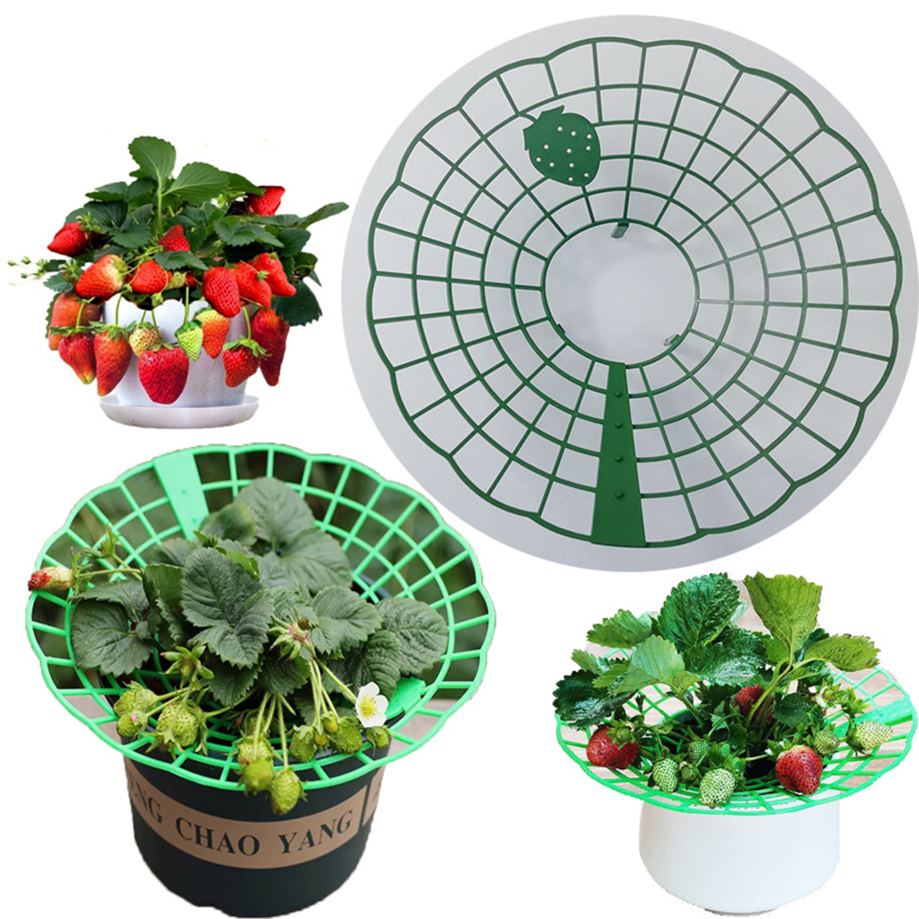 20PCS Strawberry Stand Green C - огляд і ціна Gardening Tools Green