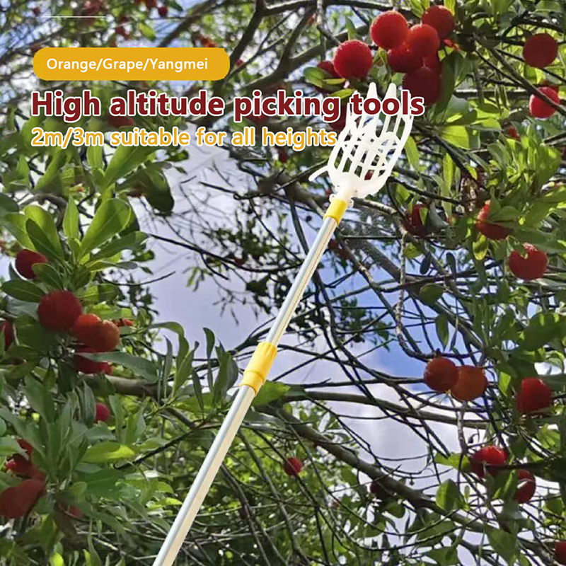 Picking Loquat Picking Bayberr - огляд і ціна Gardening Tools Rack