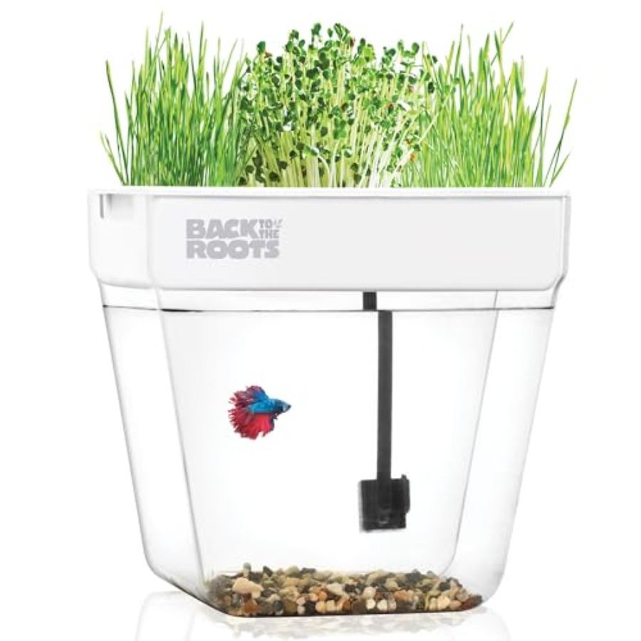 Indoor aquaponic garden: 3-gal - огляд і ціна Self-Watering Planter