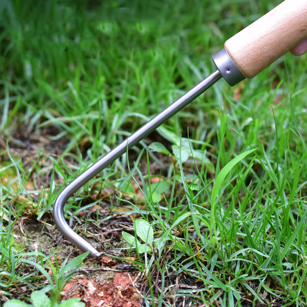 1PC Single Claw Hook Soil Loos - огляд і ціна Gardening Tools Gifts