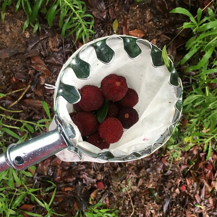 3-in-1 Fruit Harvesting Tool S - огляд і ціна Gardening Tools Gifts