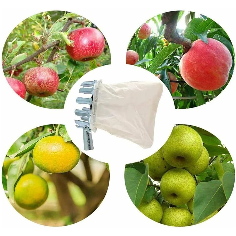 3-in-1 Fruit Harvesting Tool S - огляд і ціна Gardening Tools Gifts