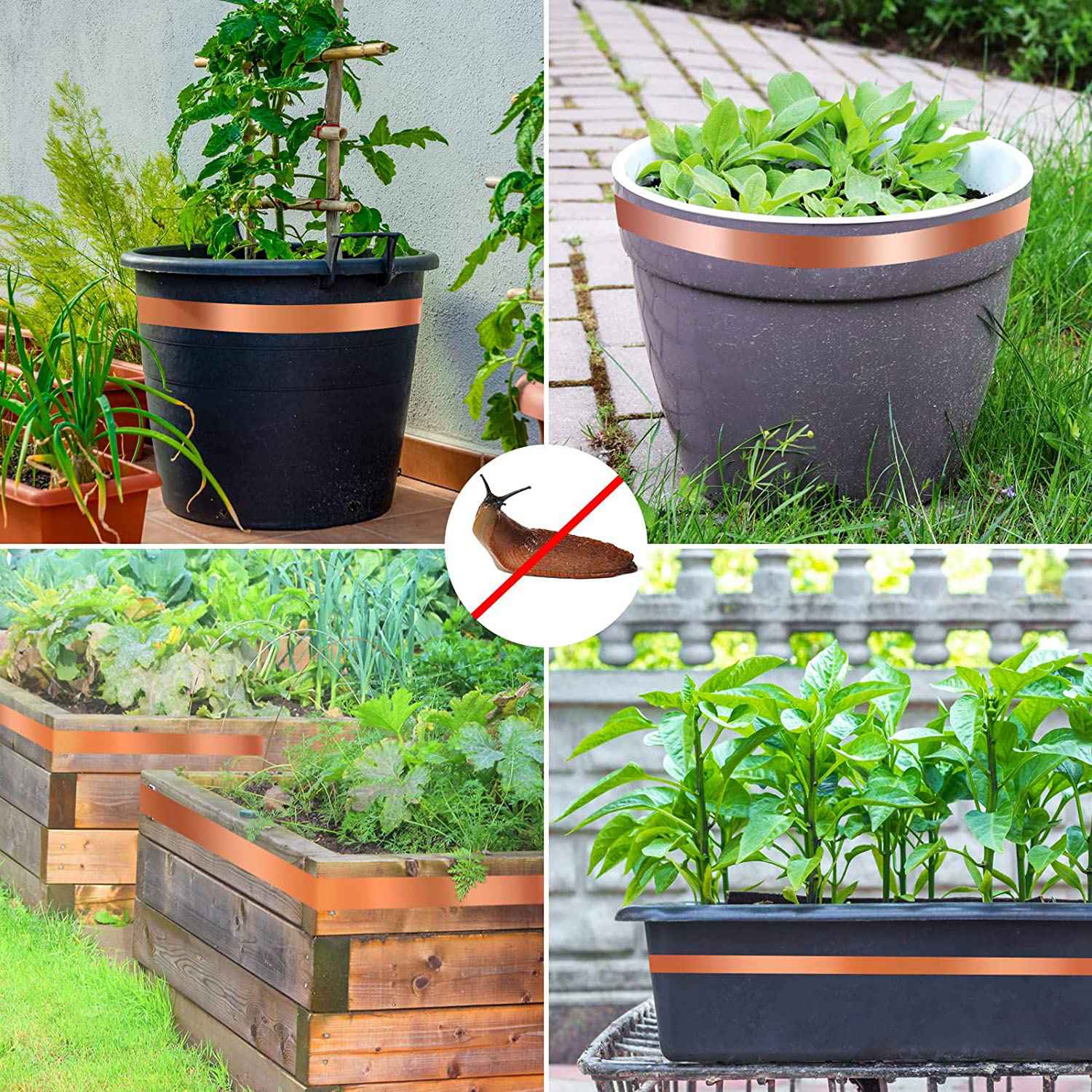 KEKA Snail Protection, Copper  - огляд і ціна Gardening Hand Tools B&Q