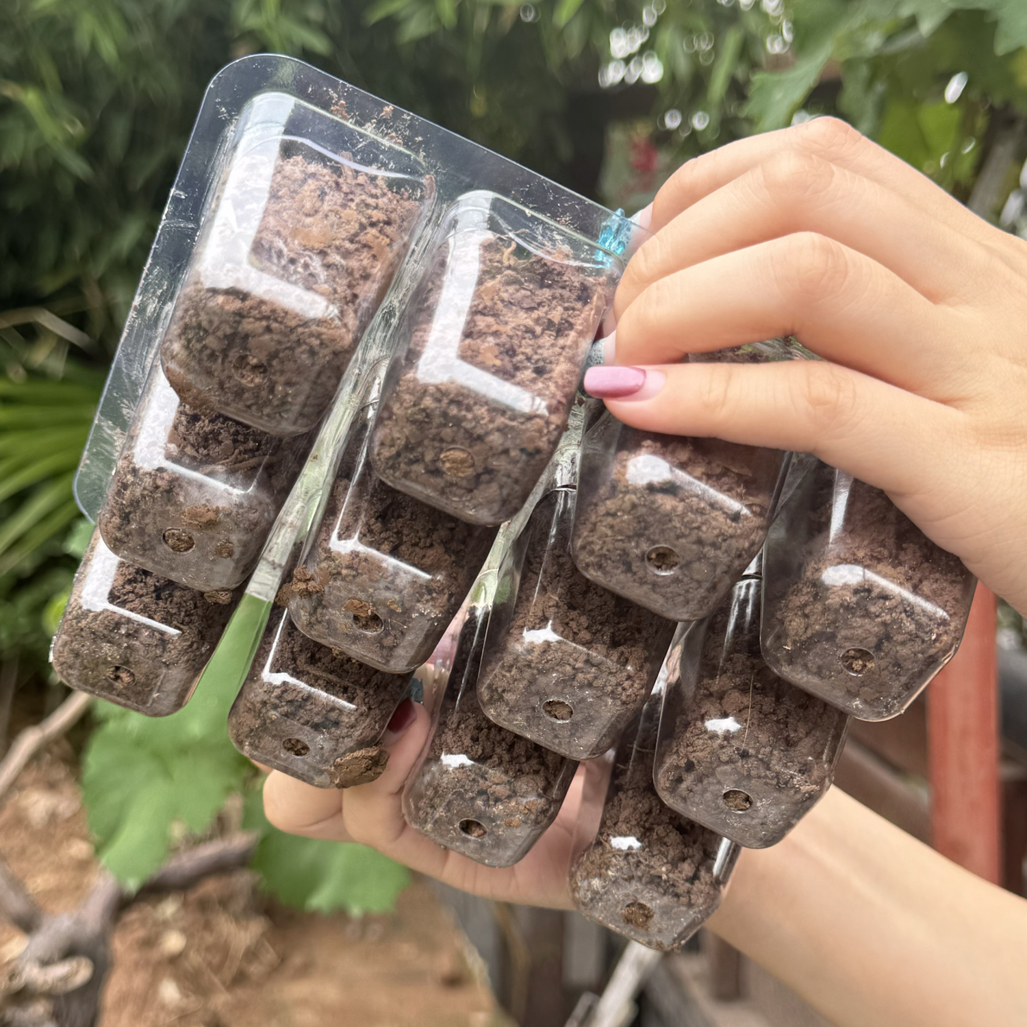 6/12Holes Plant Nursery Tray P - огляд і ціна Seed Starter Trays
