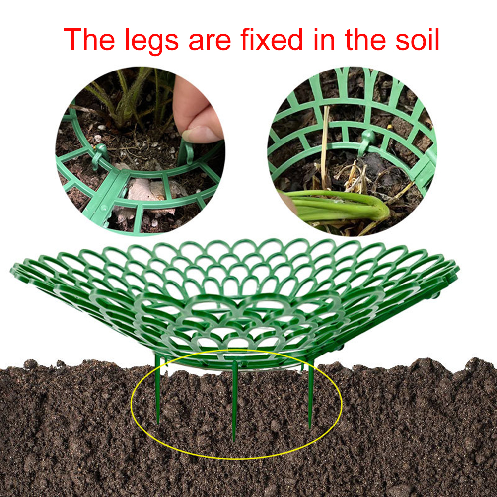 5/10PCS Strawberry Supports Wi - огляд і ціна Gardening Tools Rack