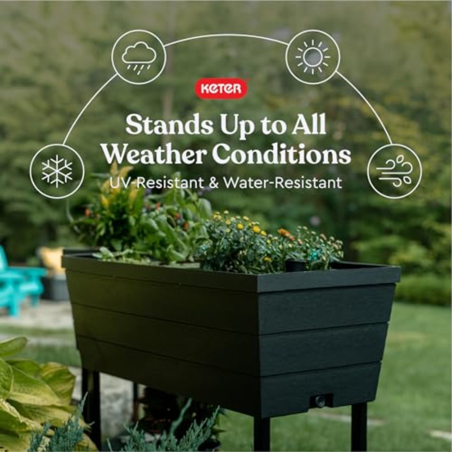 Urban Bloomer 12.7 Gallon Rais - огляд і ціна Self-Watering Planter