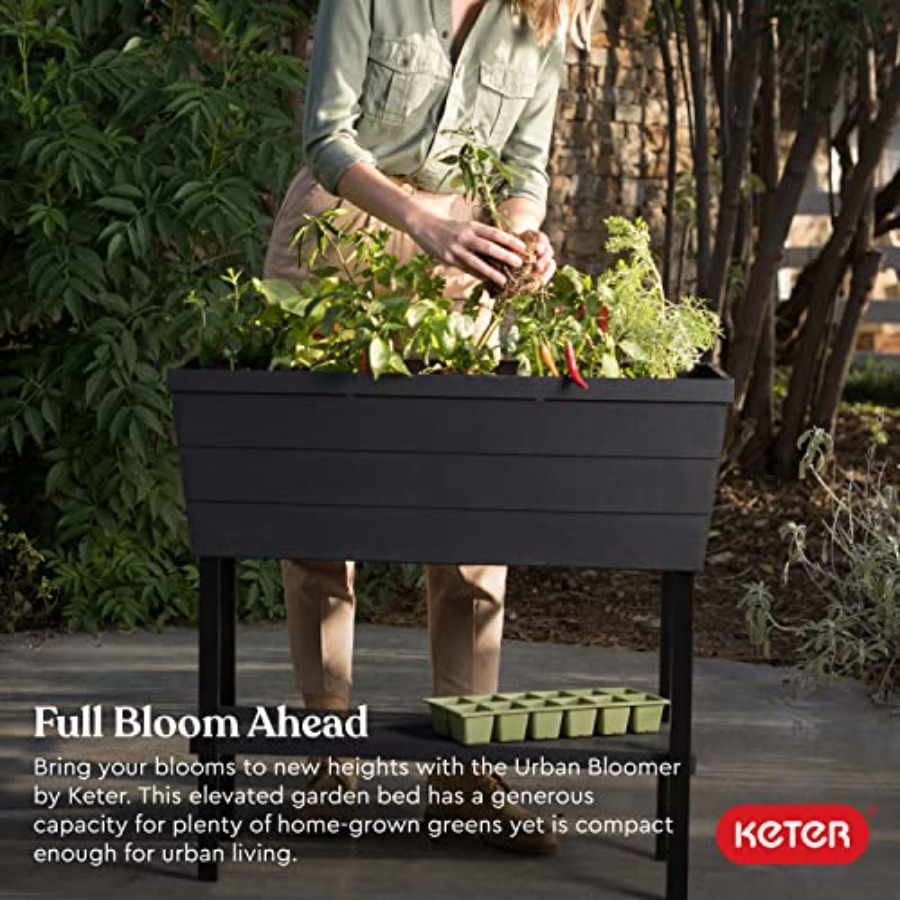 Urban Bloomer 12.7 Gallon Rais - огляд і ціна Self-Watering Planter