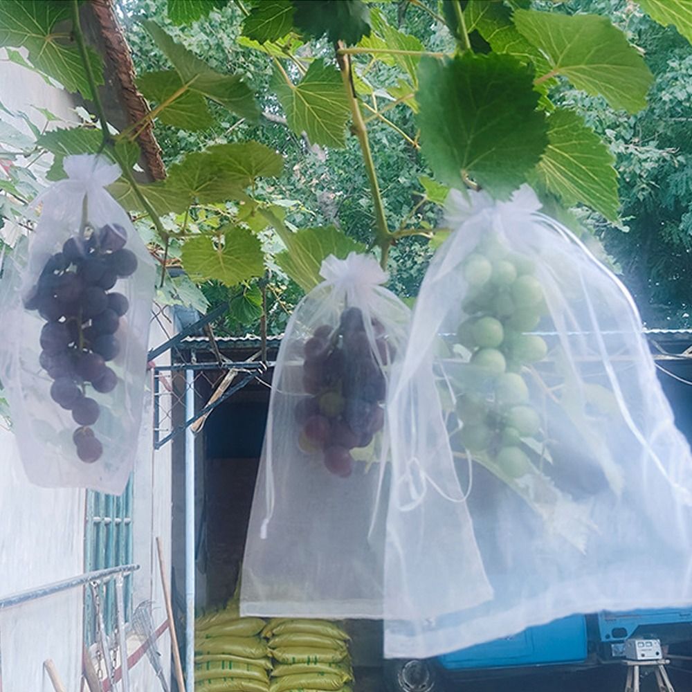 100pcs Mesh Grapes Fruit Grow  - огляд і ціна Grow Bags
