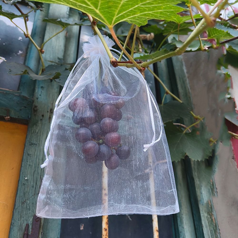 100pcs Mesh Grapes Fruit Grow  - огляд і ціна Grow Bags