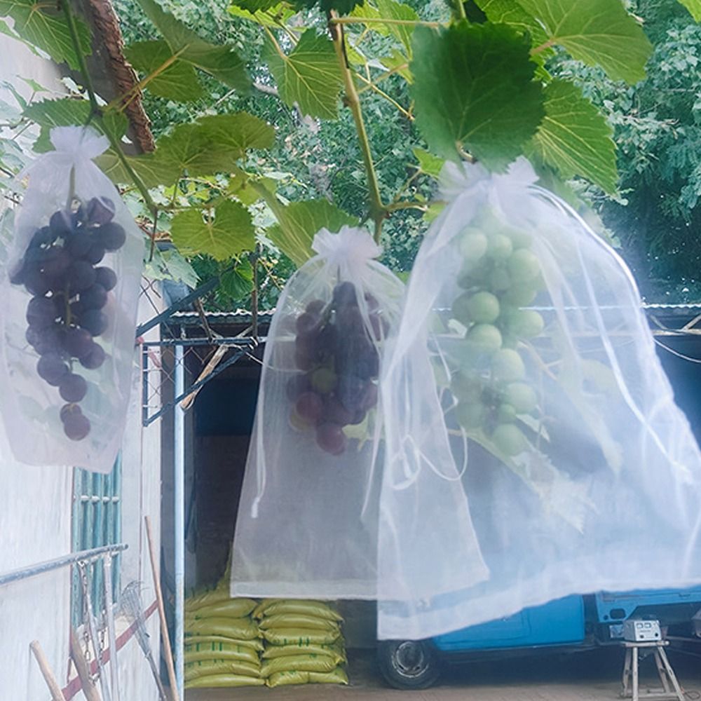 100pcs Mesh Grapes Fruit Grow  - огляд і ціна Grow Bags