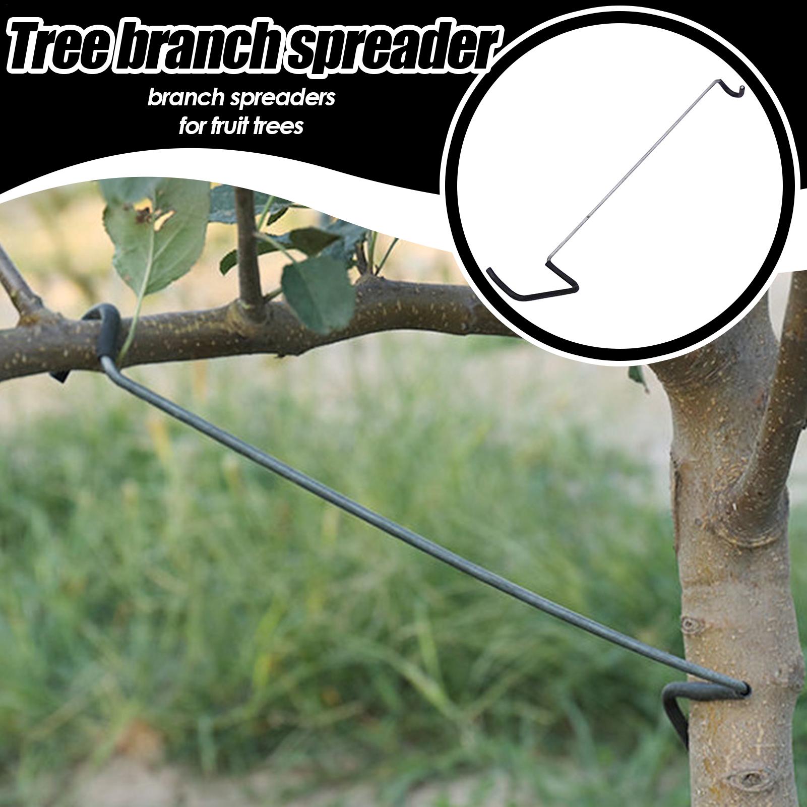 Fruit Tree Branch Spreader 10P - огляд і ціна Gardening Tools Gifts
