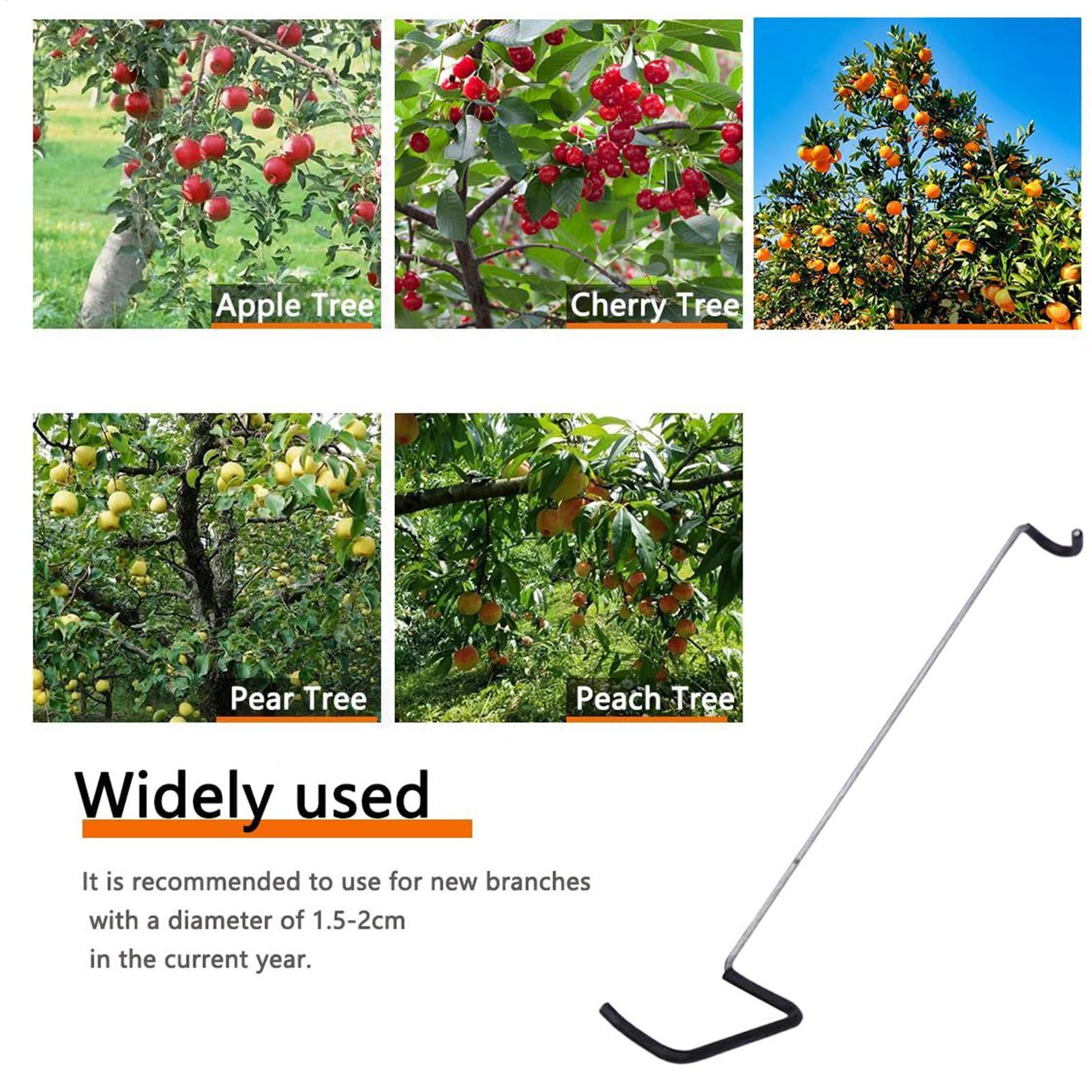 Fruit Tree Branch Spreader 10P - огляд і ціна Gardening Tools Gifts