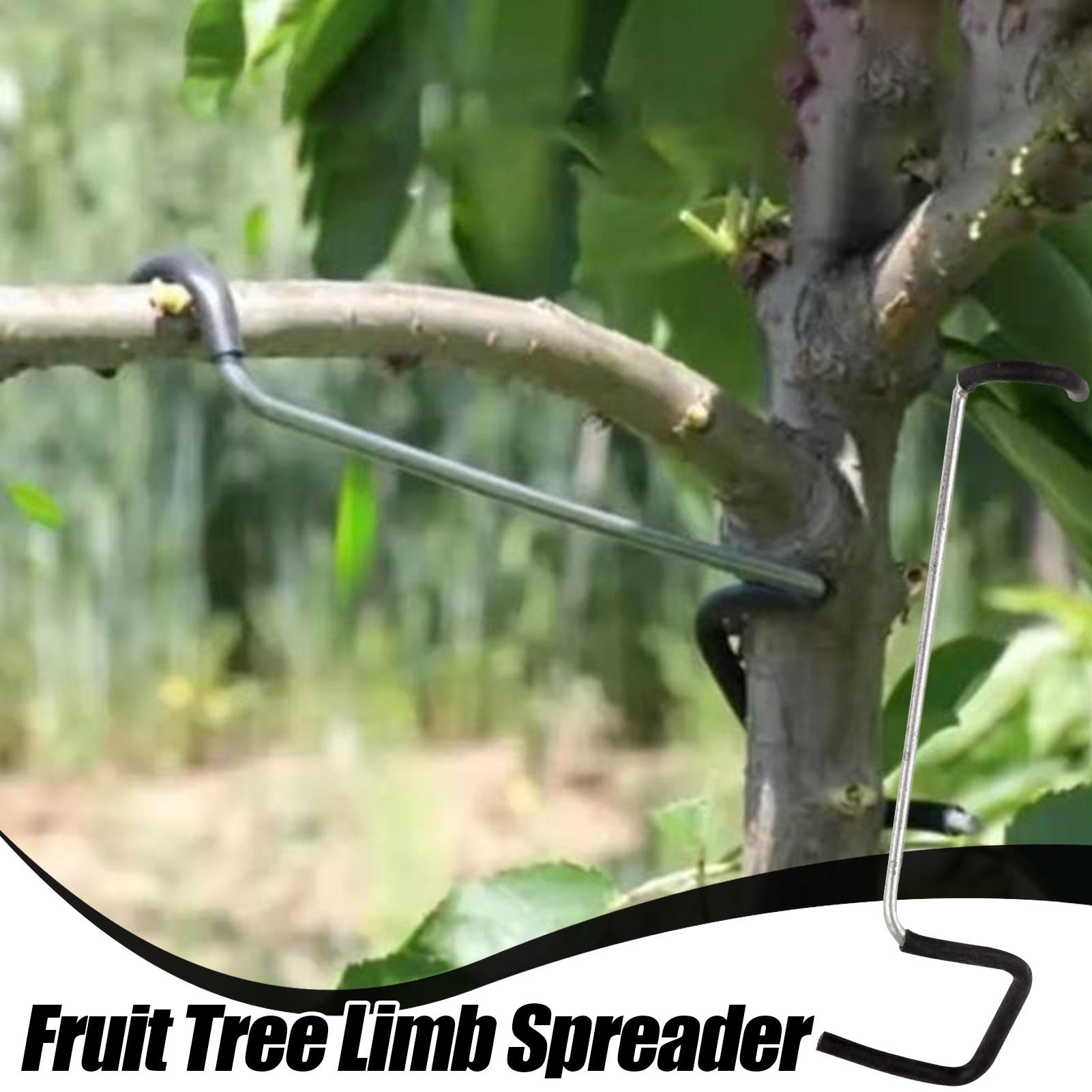 Fruit Tree Branch Spreader 10P - огляд і ціна Gardening Tools Gifts