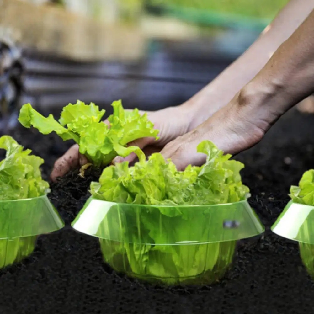 Plants Snail Protection Rings  - огляд і ціна Gardening Tools Green