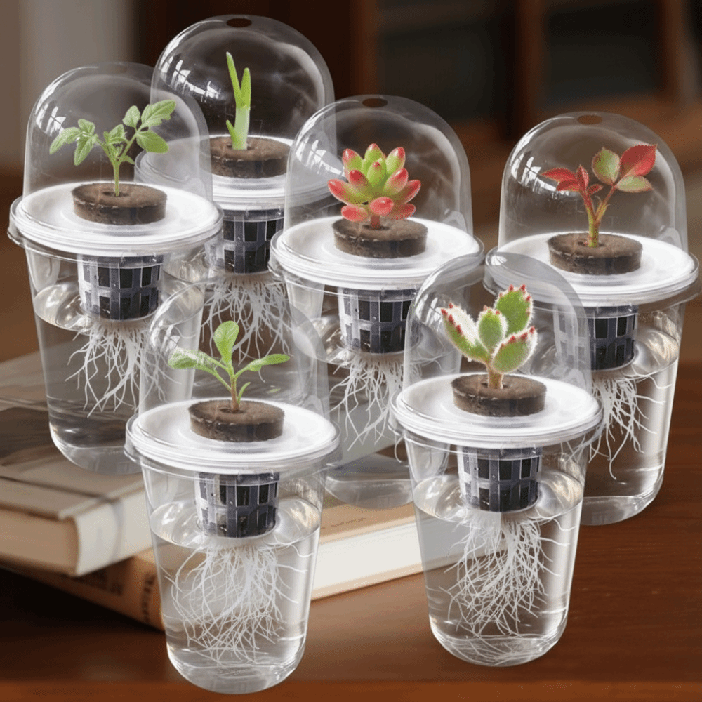 1-5pc Visible Clear Plants Ger - огляд і ціна Seed Starter Trays