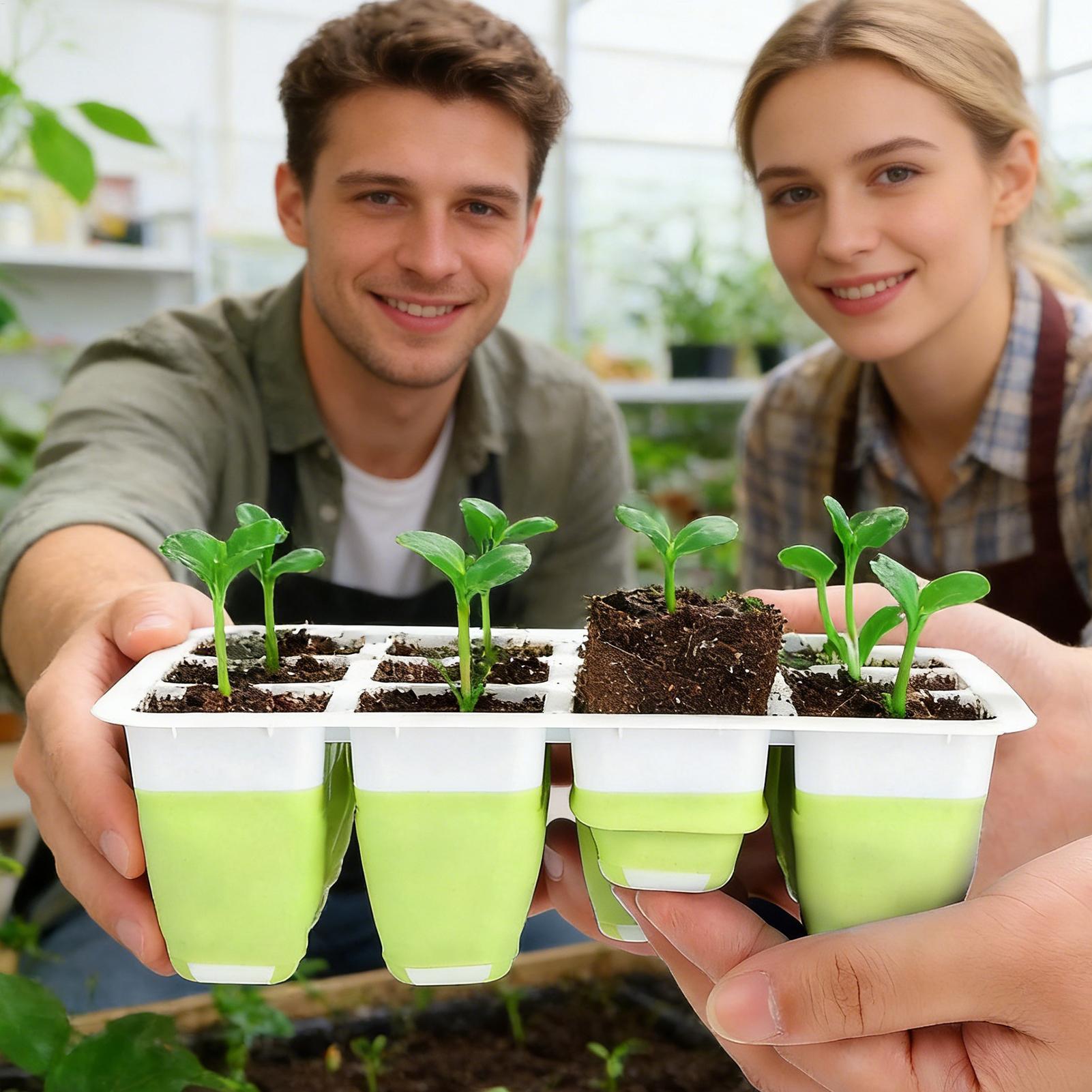 12-Cell Silicone Seedling Star - огляд і ціна Seed Starter Trays