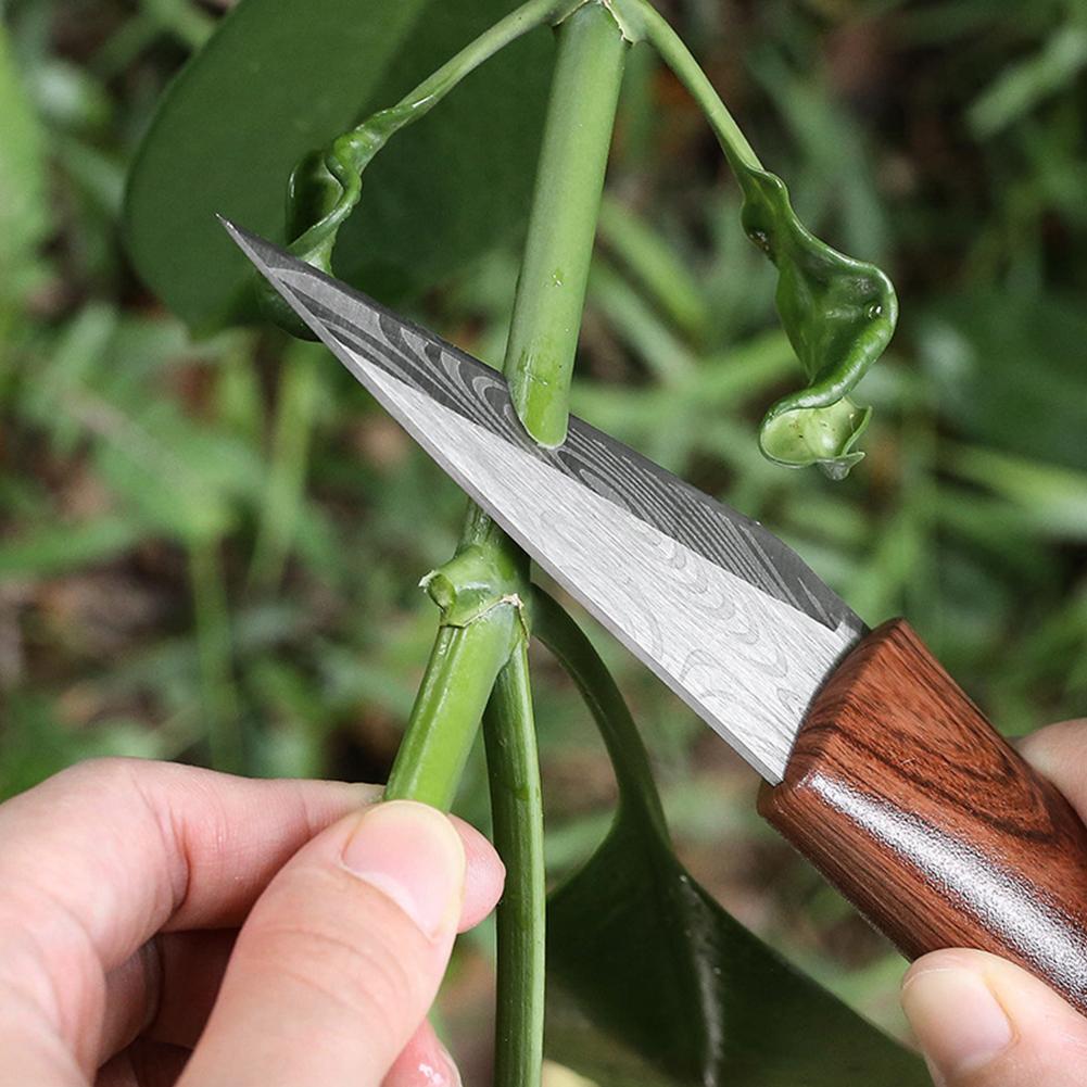 Sharp Grafting Knife with Wood - огляд і ціна Gardening Tools Knife