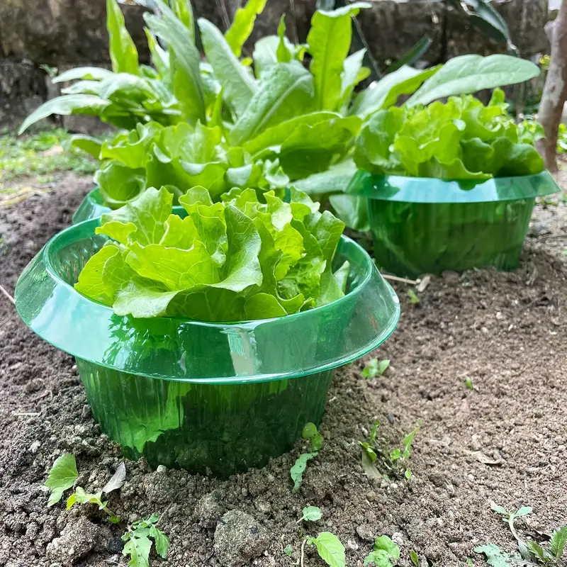 Plants Slug Protection Rings V - огляд і ціна Gardening Tools Green