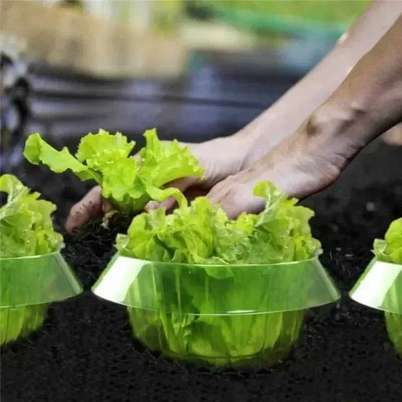Plants Slug Protection Rings V - огляд і ціна Gardening Tools Green