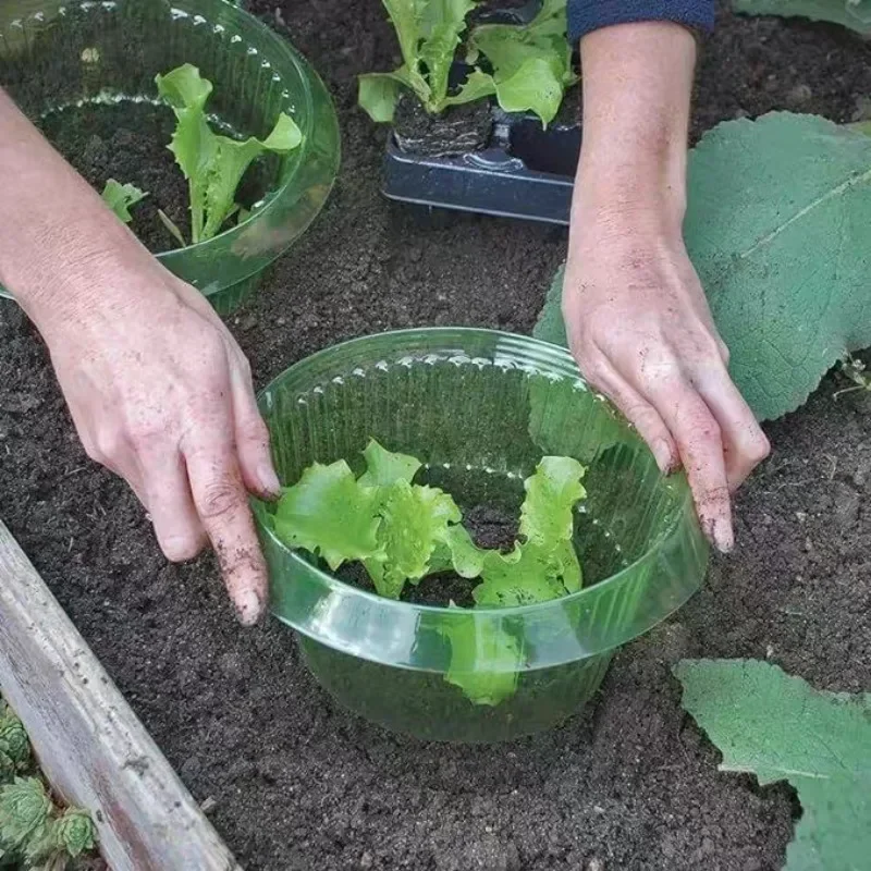 Plants Slug Protection Rings V - огляд і ціна Gardening Tools Green