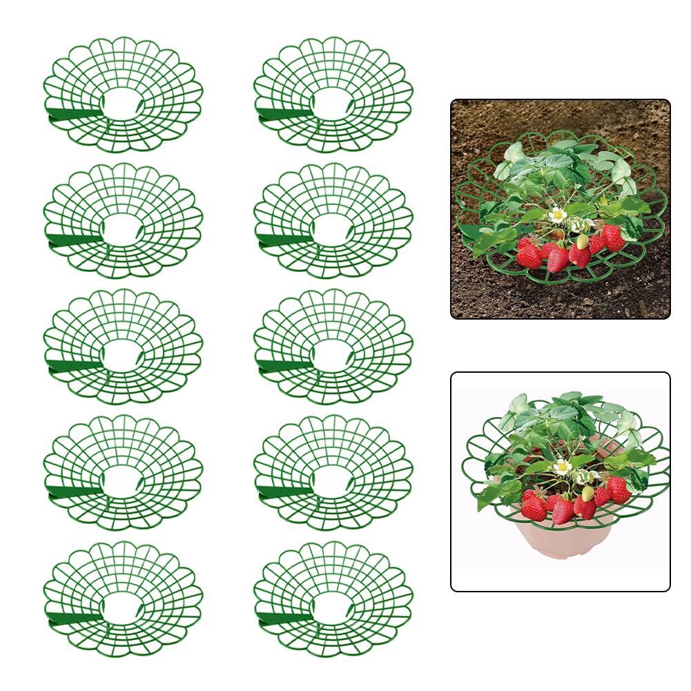 5/10PCS Round Strawberry Brack - огляд і ціна Gardening Tools Rack