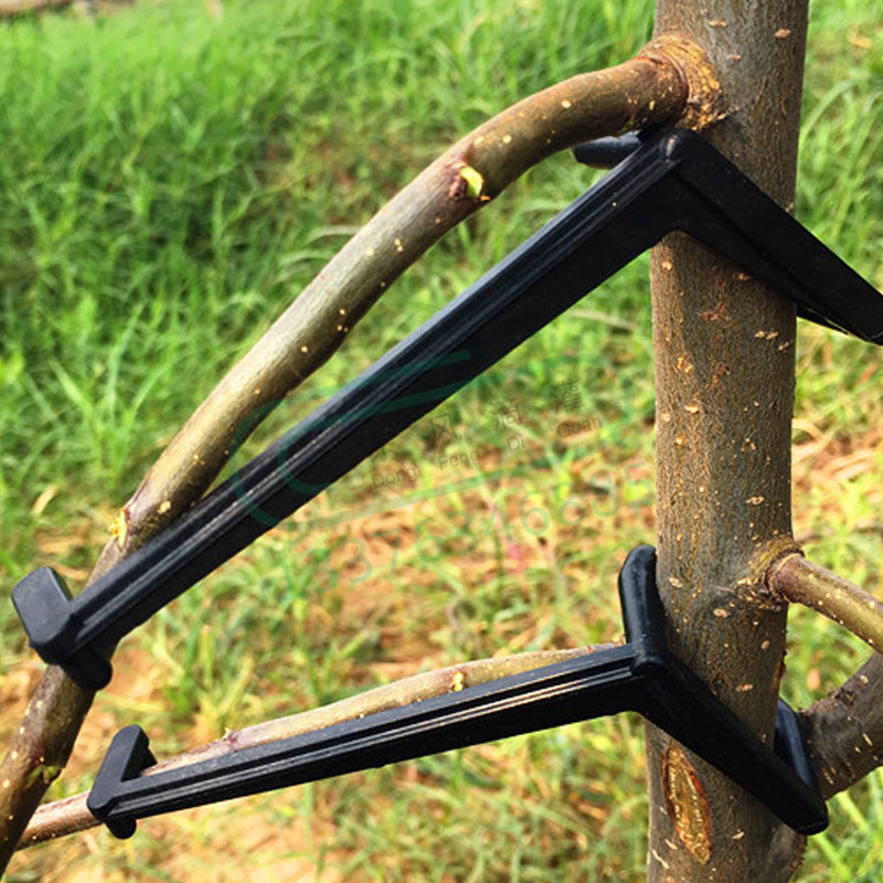 10-30Pcs Fruit Tree Clips Plan - огляд і ціна Gardening Tools Gifts