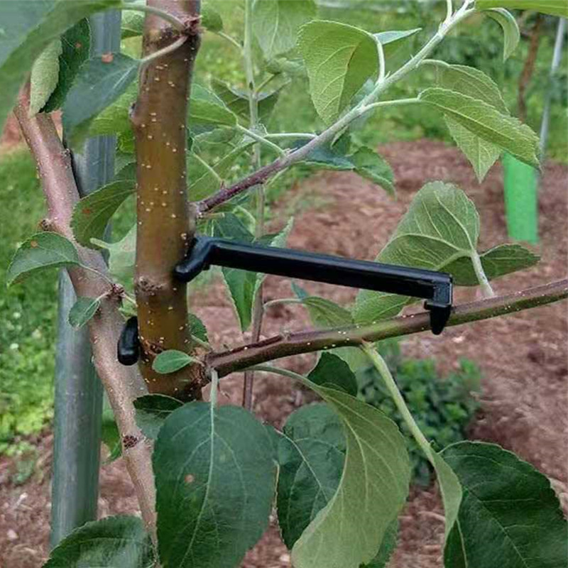 10-30Pcs Fruit Tree Clips Plan - огляд і ціна Gardening Tools Gifts
