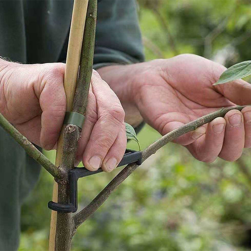 10-30Pcs Fruit Tree Clips Plan - огляд і ціна Gardening Tools Gifts