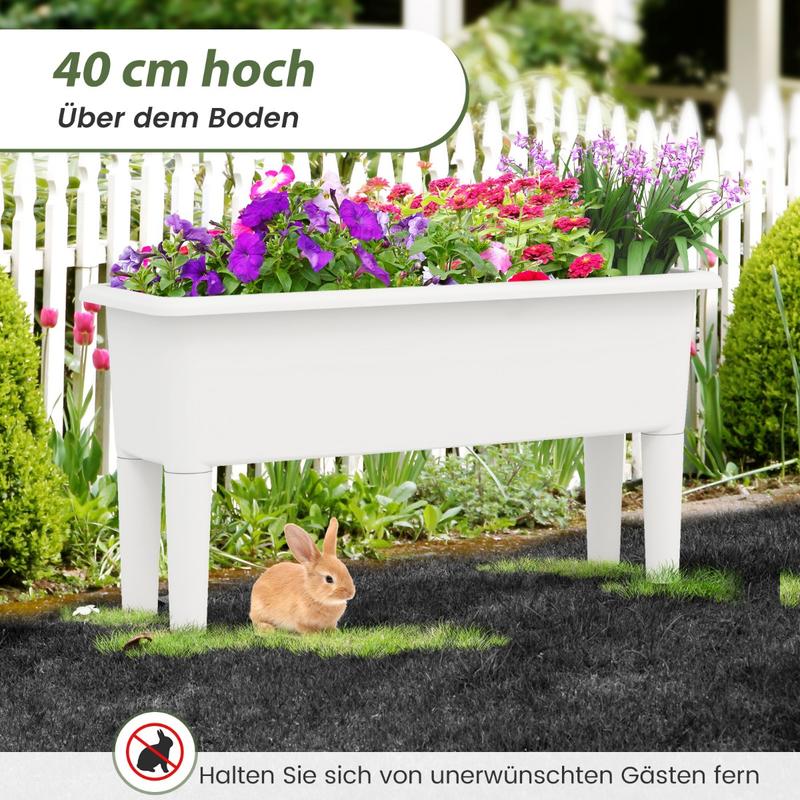 2 PCS Raised Garden Beds Self- - огляд і ціна Self-Watering Planter