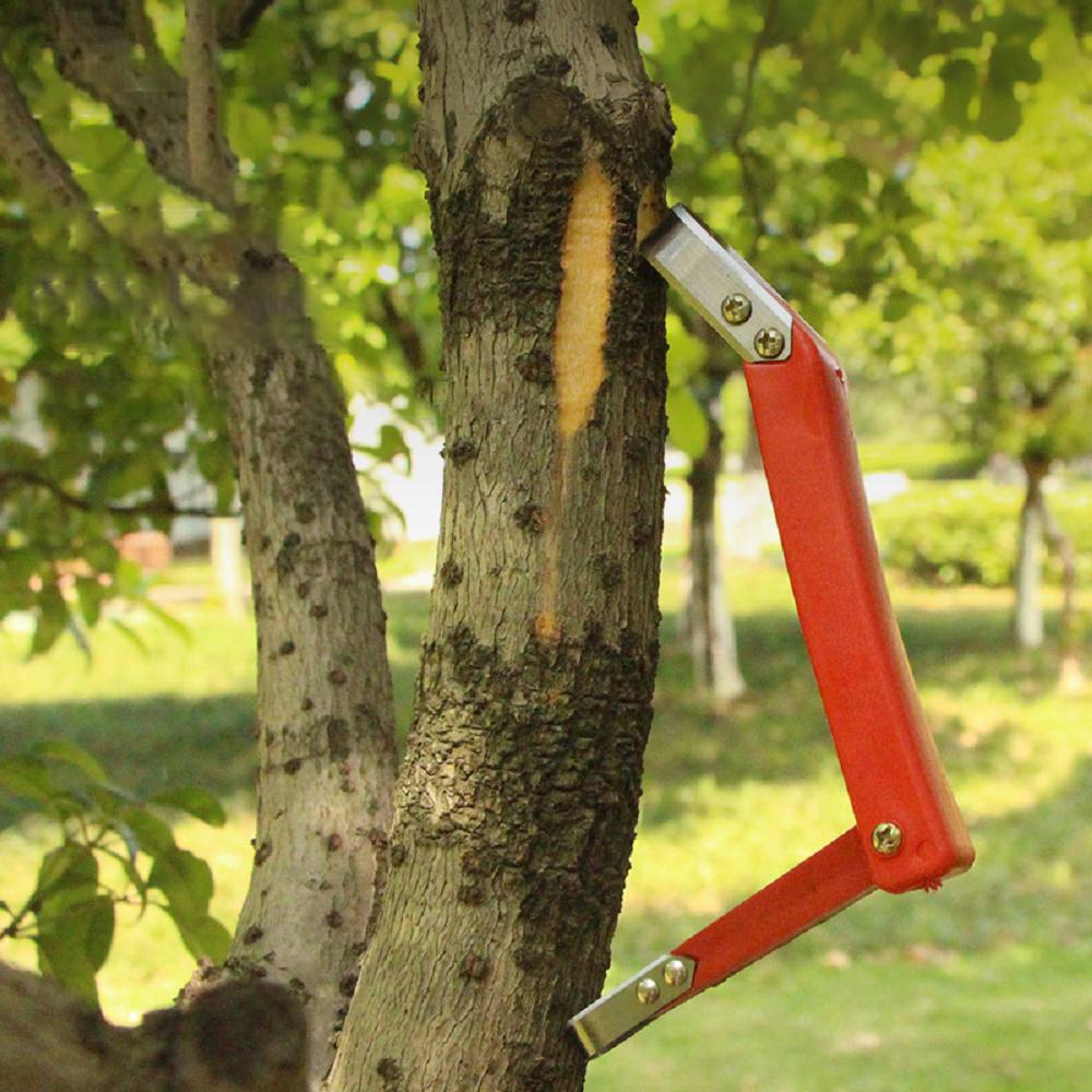 Fruit Tree Rot Scraping Bark K - огляд і ціна Gardening Tools Knife