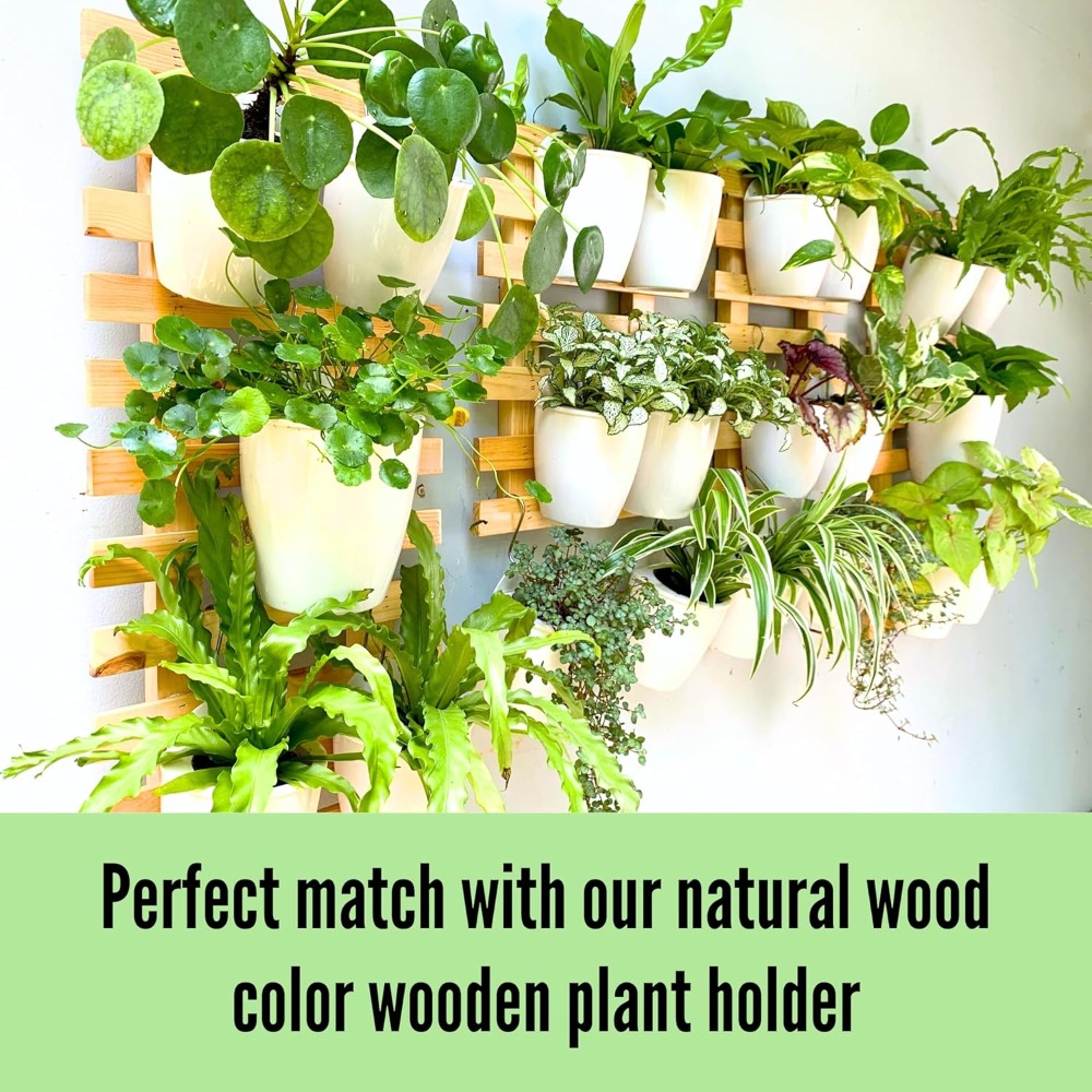 10-Pack Self-Watering Wall Pla - огляд і ціна Self-Watering Planter